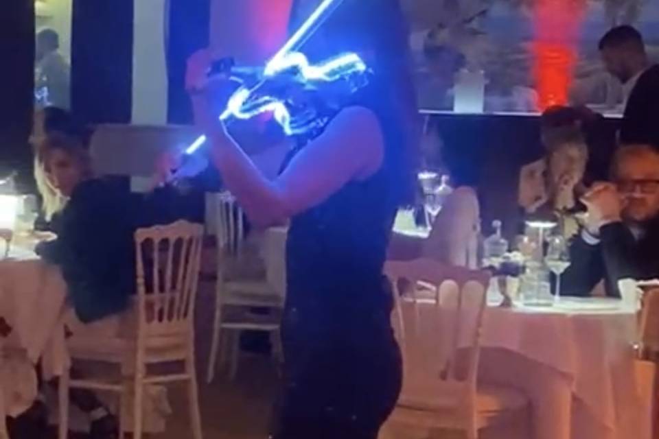 Led violin cena