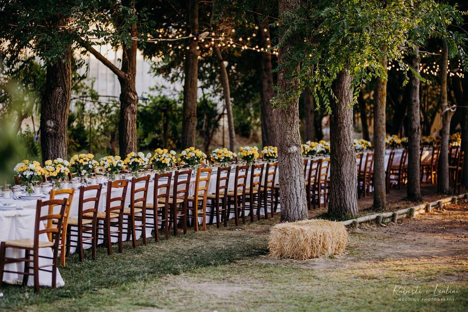 Flo Wedding Flower Sardinia