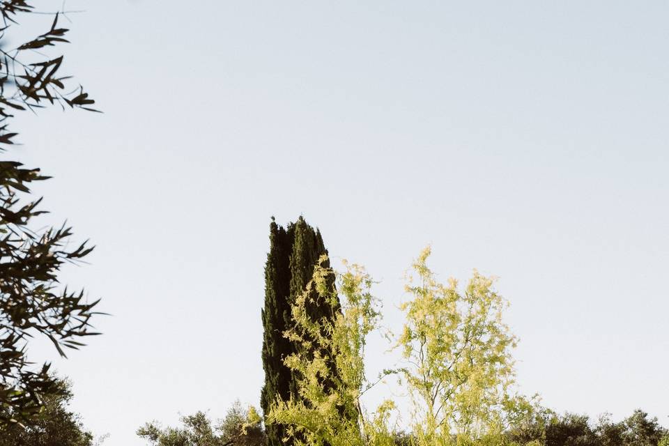 La collinetta