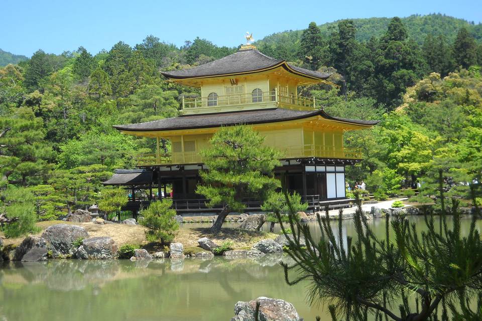 Giappone - Tempio d'oro Kyoto