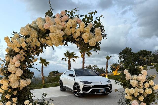 77 Luxury cars
