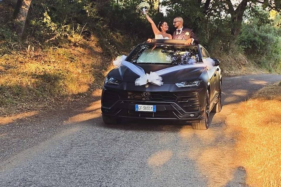 Urus nera