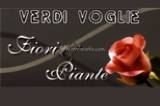 Verdi voglie logo