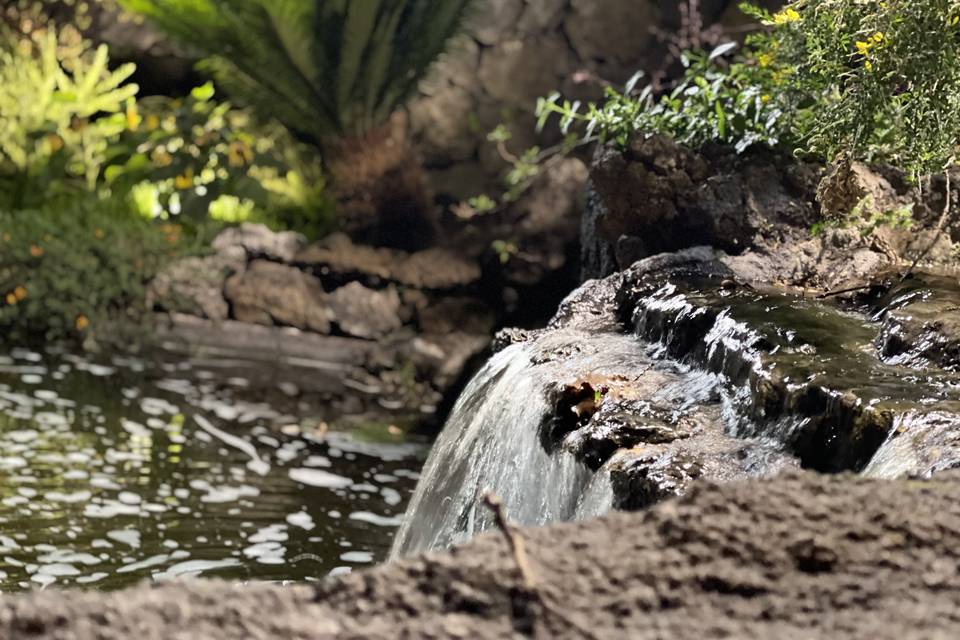 Giardino d’inverno