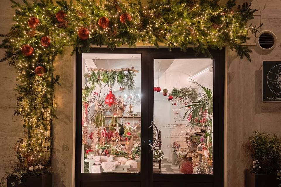 Fiori di Luce Natale 2025