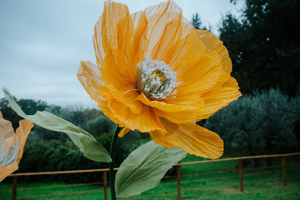 Giant flower detail