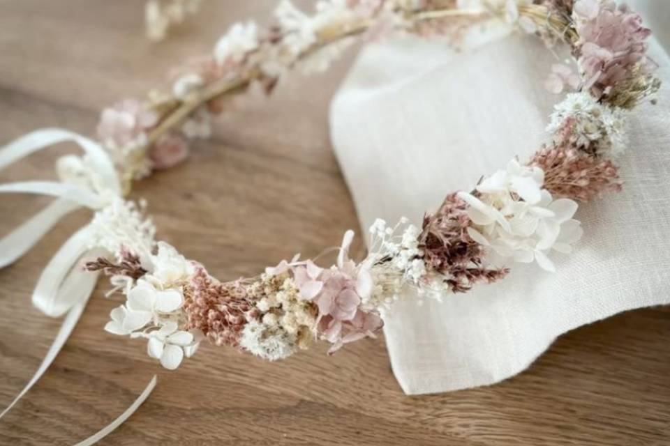 Coroncina dry flowers