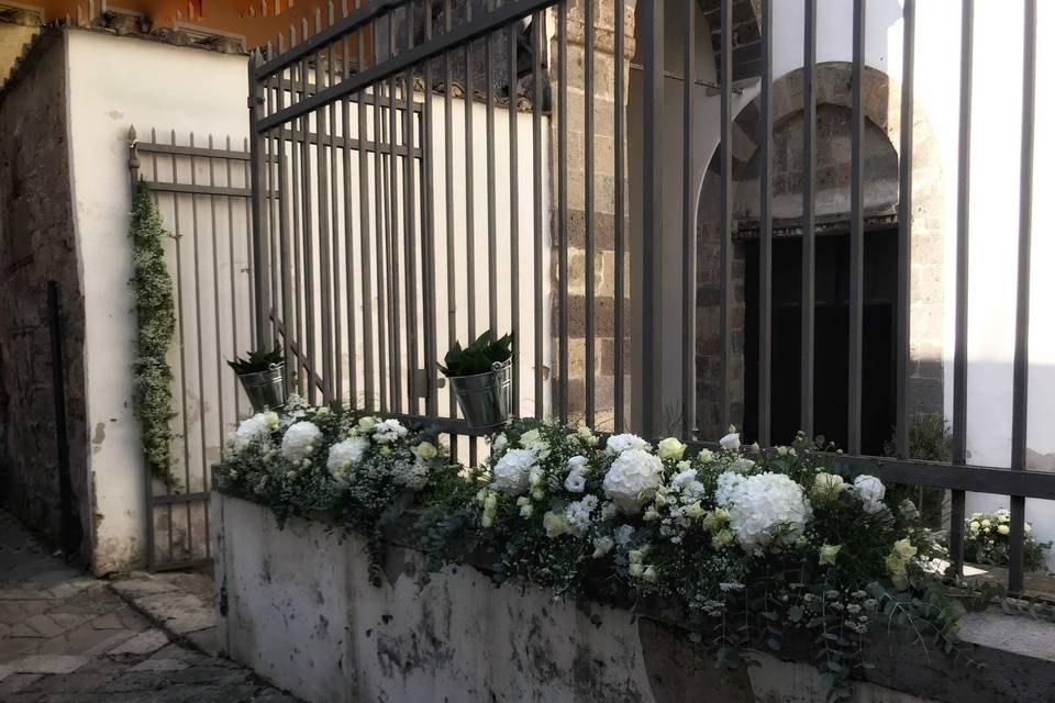 Marinaccio Fiori