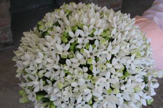 Flowers Shop