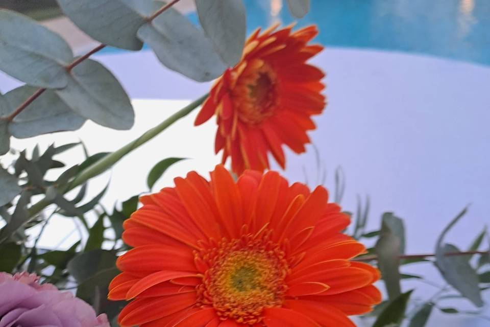 Dettagli fioriti