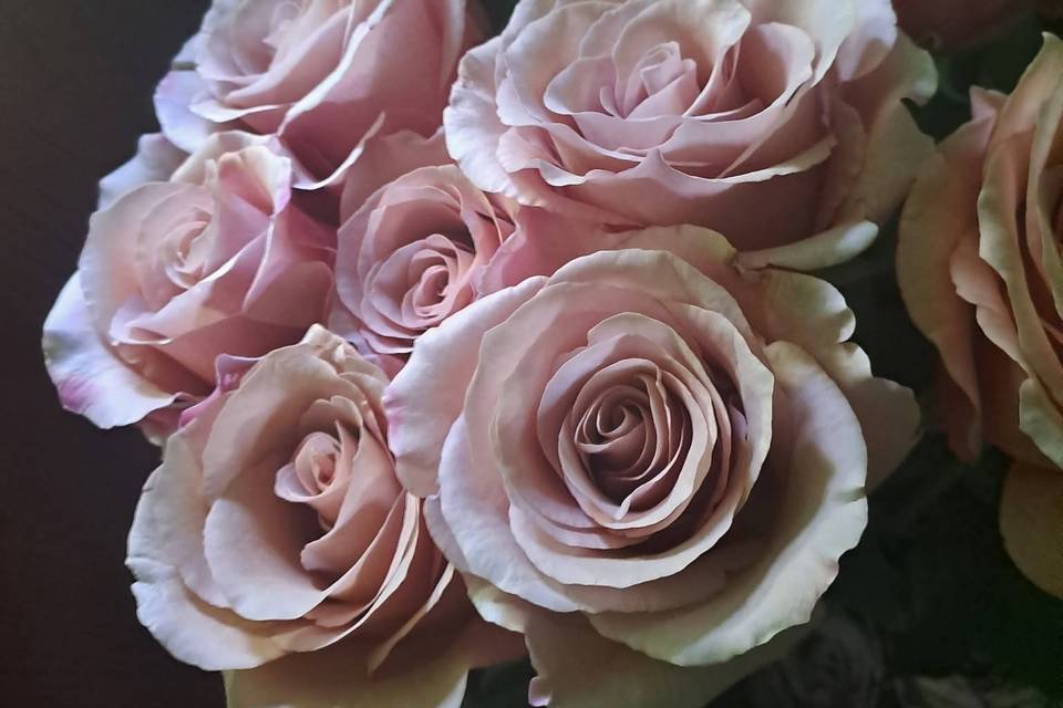 Dettagli fioriti