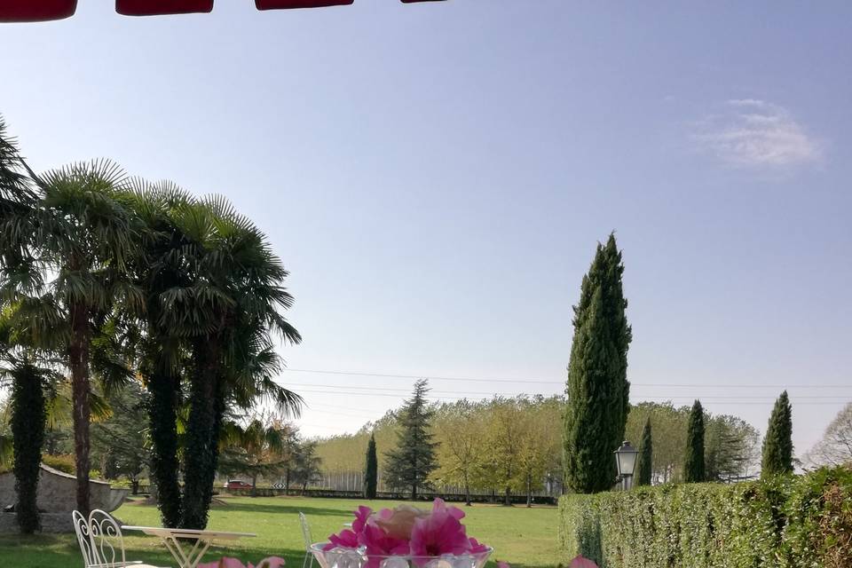 Vista giardino