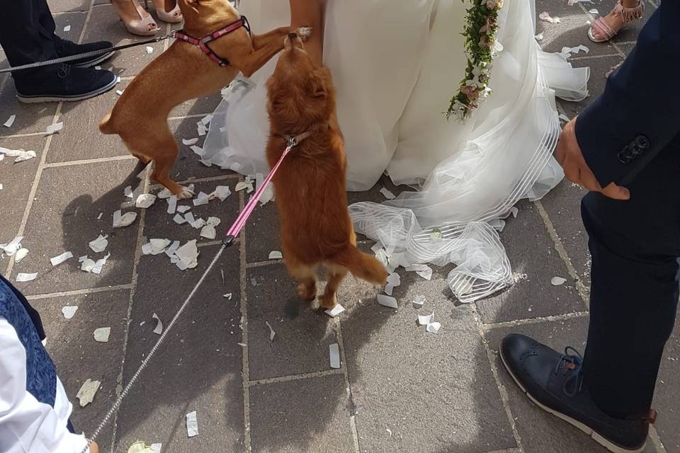 Il papà della sposa