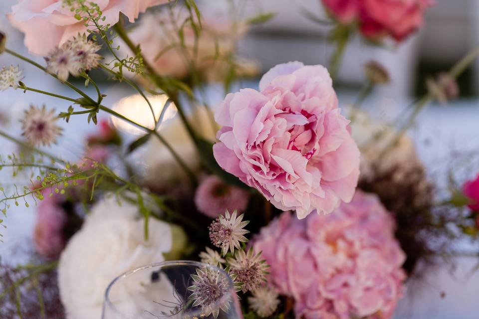 Pink flowers