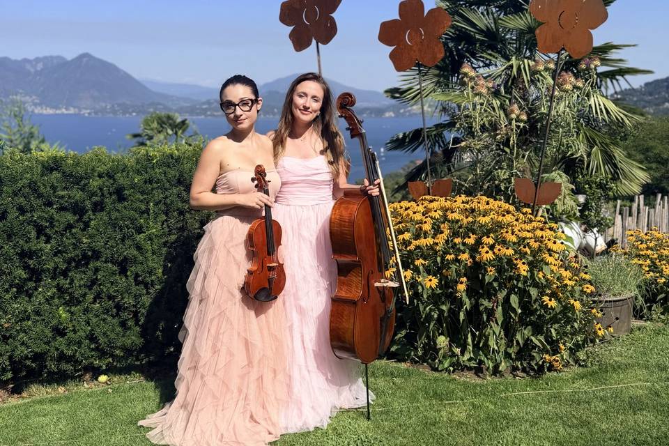 Violin and cello