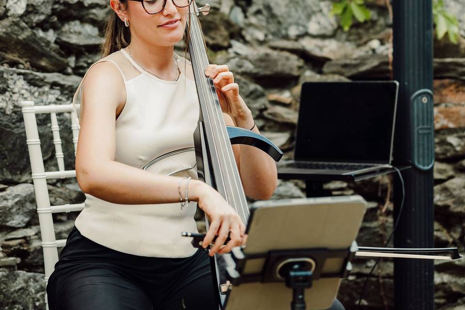 Cello