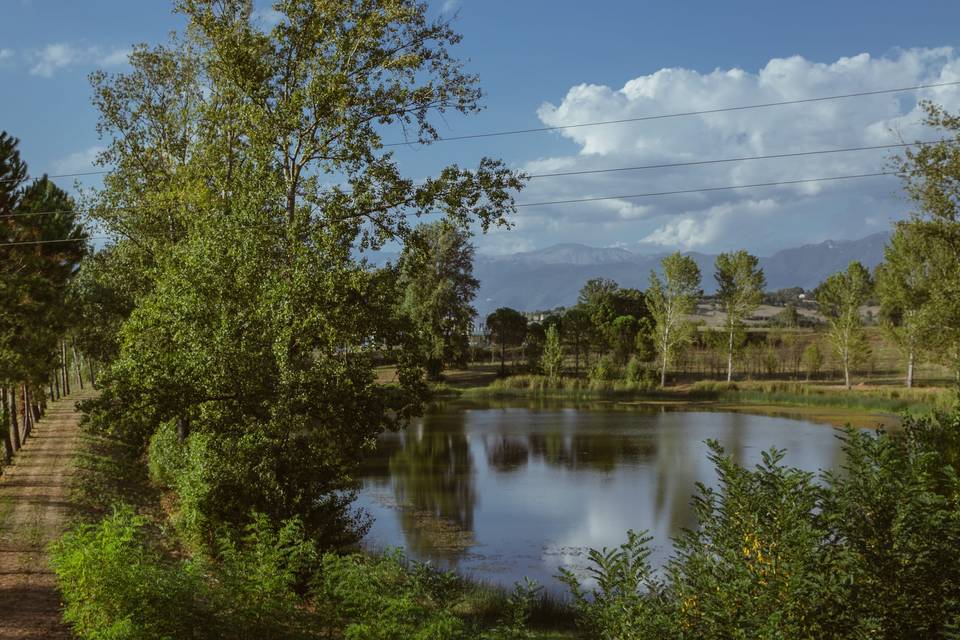 Il lago nel Bosco Rio Tella