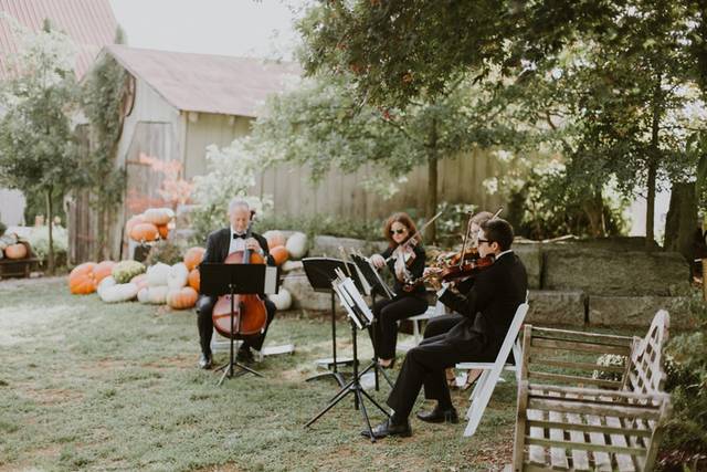 Trio d'archi e organista