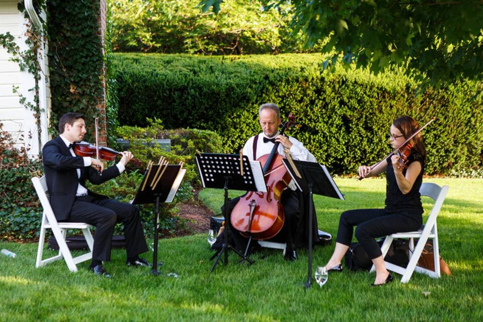 Trio d'archi e organista