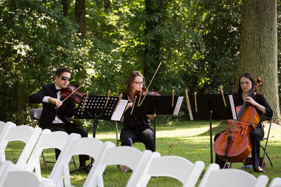 Trio d'archi e organista