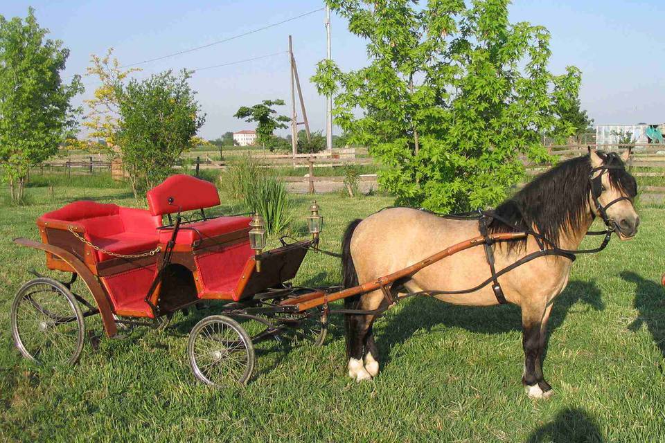 Le carrozze del Podere Folli