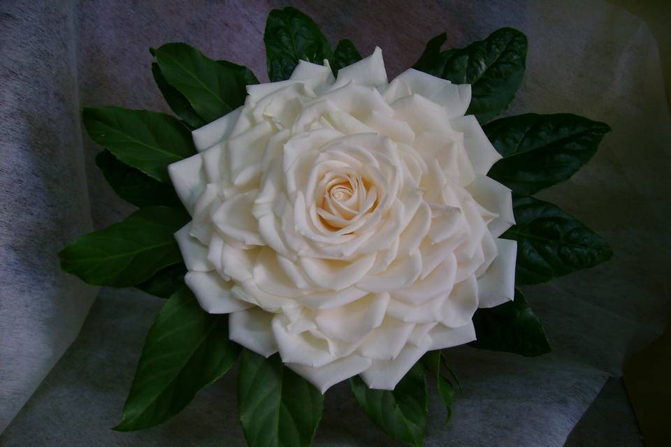 Bouquet rose vendela