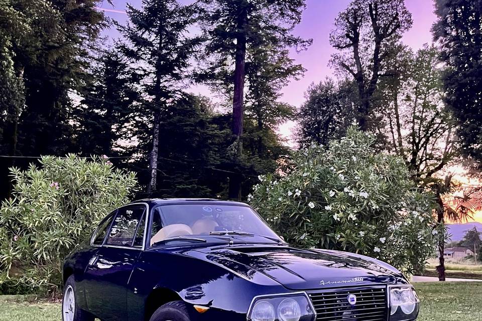 Fulvia Sport