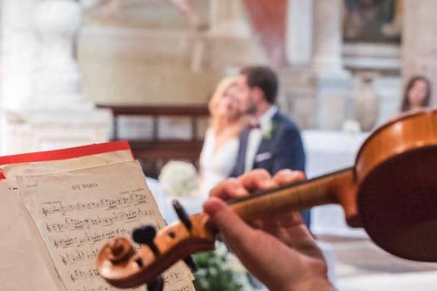 Violino dopo le promesse