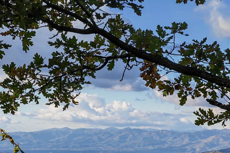 Vista da PiancasaleMia