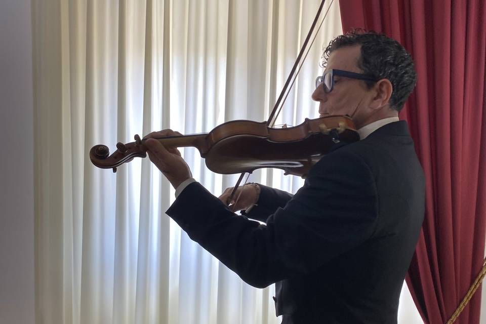 Violino in azione