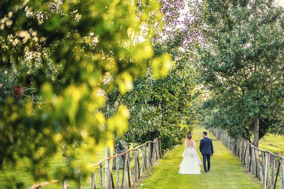 Wedding elegant