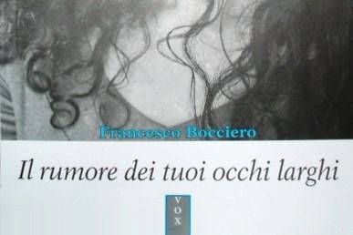 Romanzo autobiografico di Francesco Bocciero, speaker radiofonico professionista, che ripercorre un pezzo della sua vita ed il suo amore per la donna che ha sposato. Presente e passato si intrecciano poeticamente regalando al lettore la poesia di un innamoramento che diventa amore salutando l'estate al mare, l'adolescenza ed i magici anni ottanta. «Non c?è un termine per definire quei due che s?incontravano all?insaputa del mondo: non amanti, non mentitori, non soltanto vecchi amici, non estranei colpiti da un colpo di fulmine. Io ed Iva eravamo niente di tutto questo. Noi eravamo noi e basta.» (Capitolo I).