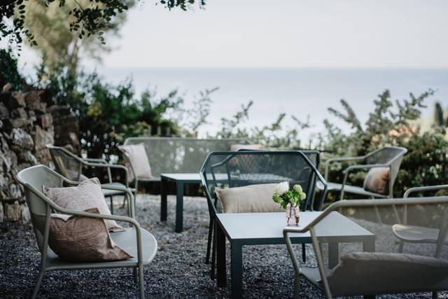 Il nostro uliveto vista mare