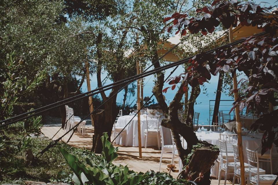Una terrazza tra ulivi e mare