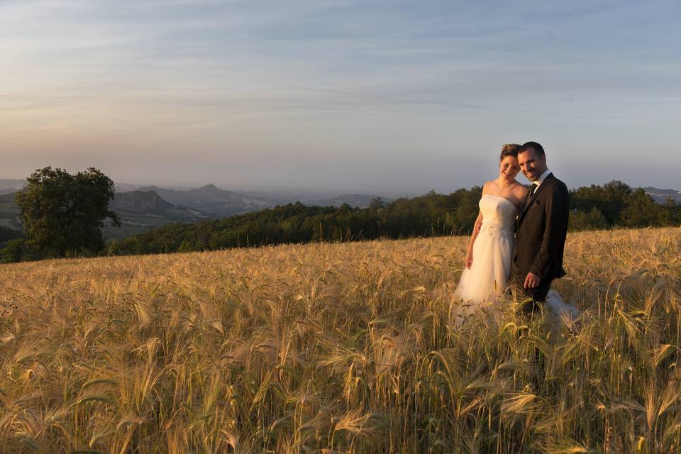 Grano al tramonto