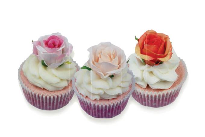 Bomboniere Cupcake da bagno