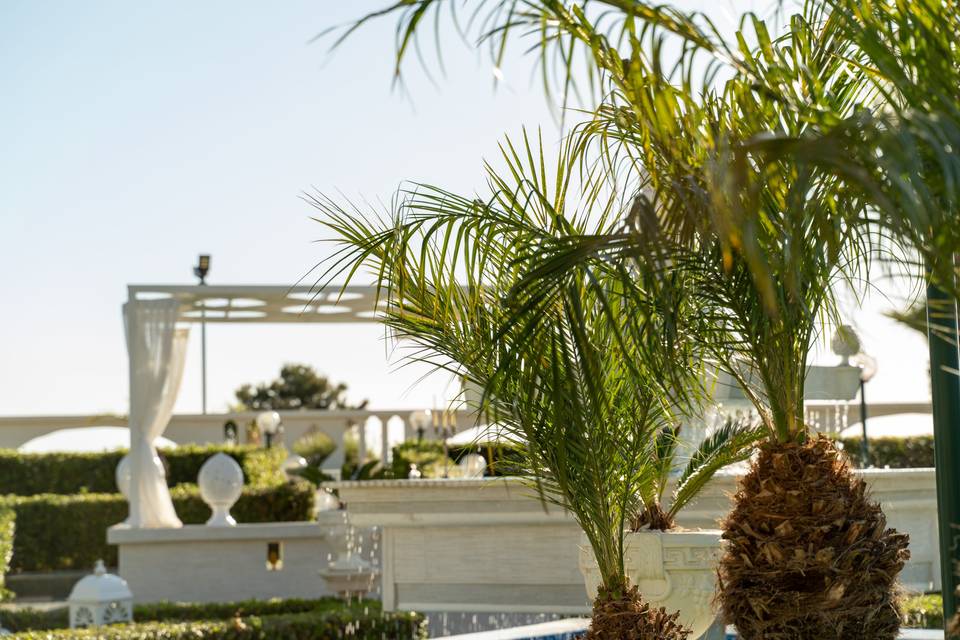 Giardino