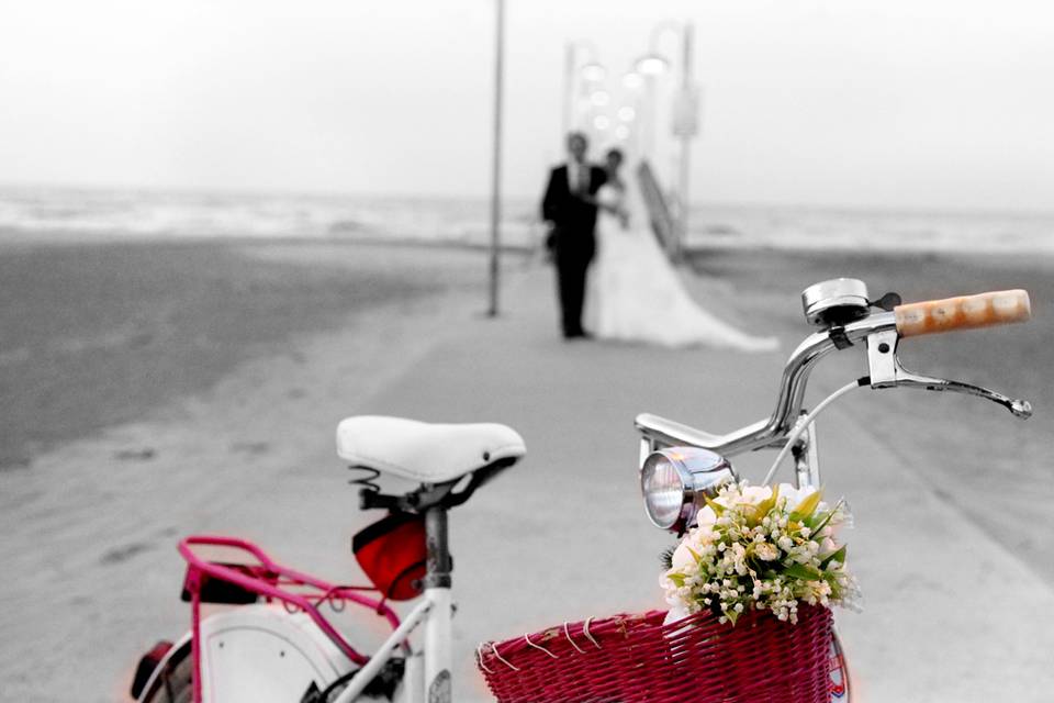 Le foto di Giulia Vasto