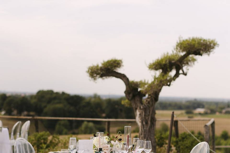 Allestimento esterno matrimoni