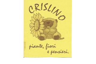 Crislinoflowers