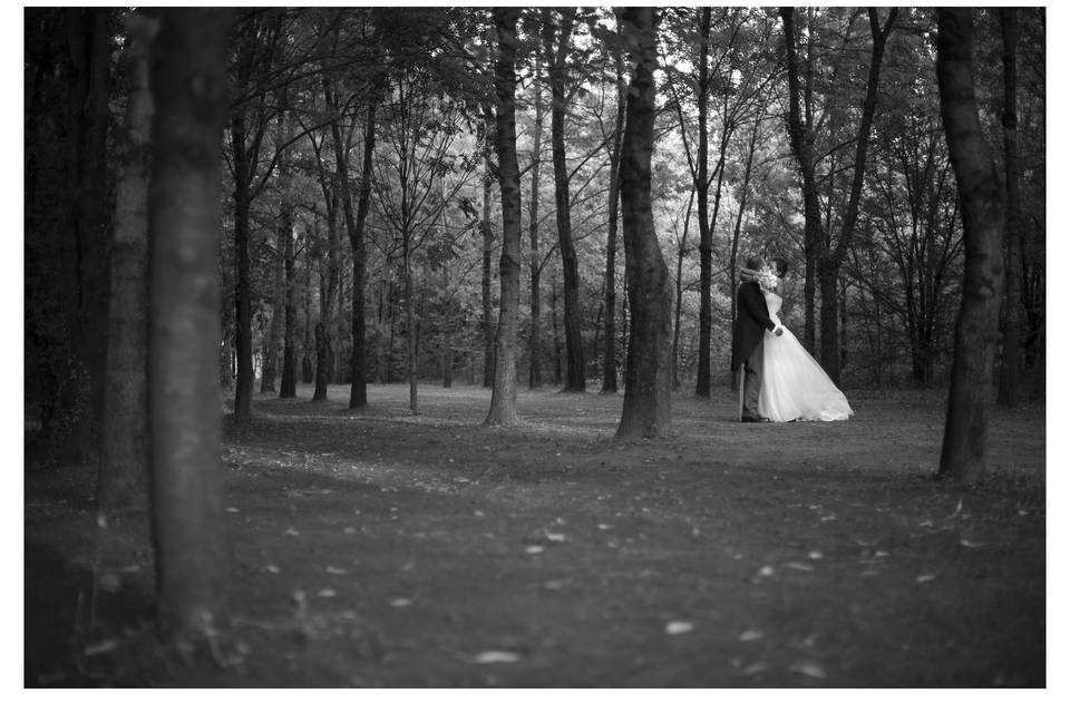 Wedding location nel bosco