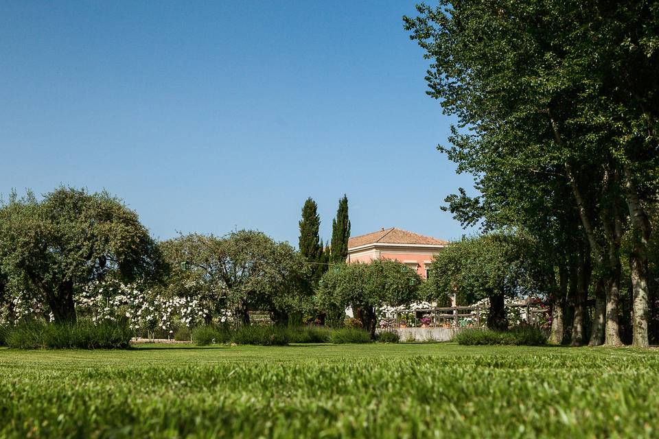 Il Giardino prato ulivi