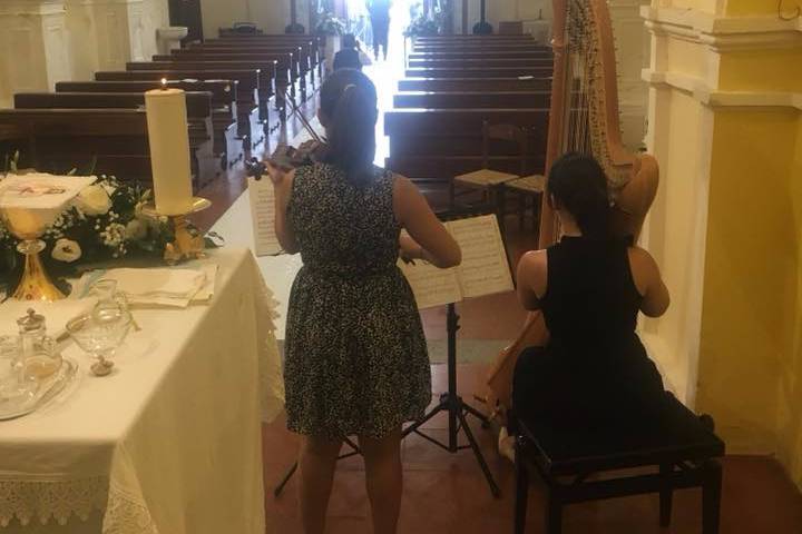 Arpa e violino