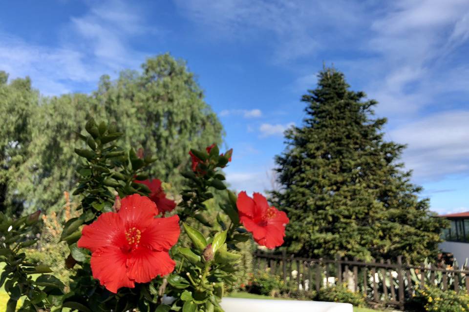 I Giardini di Adularia di Certosa dei Cavalieri