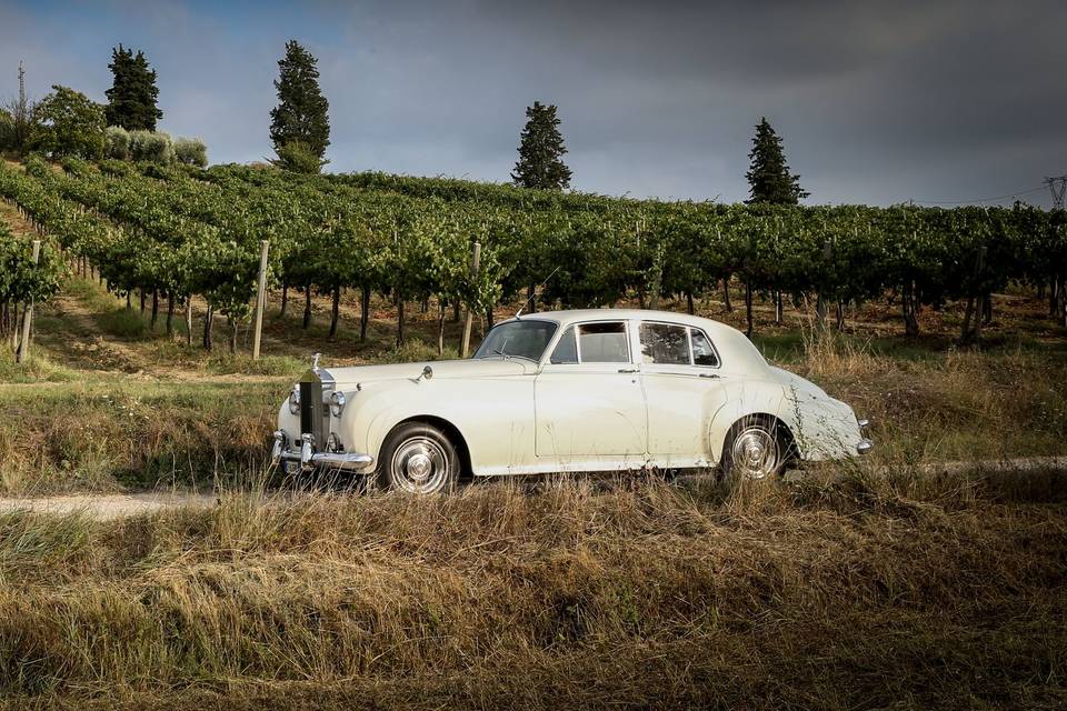 Panoramica vigneti