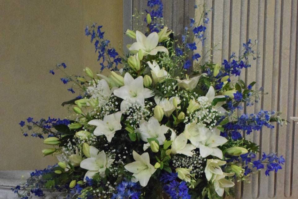 Lilium e delphinium blu