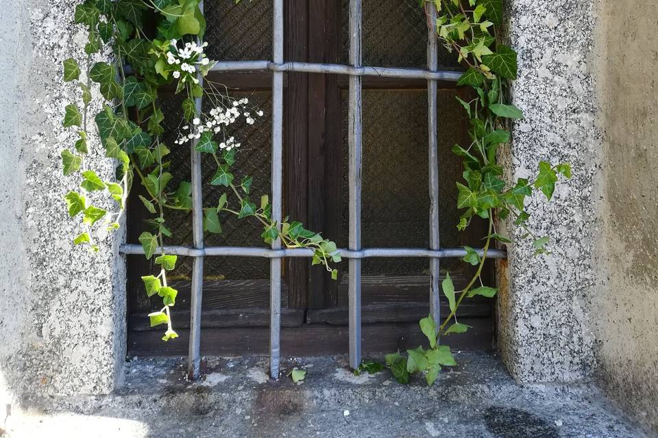 Tagliabue Il Verde