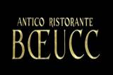 Boeucc logo