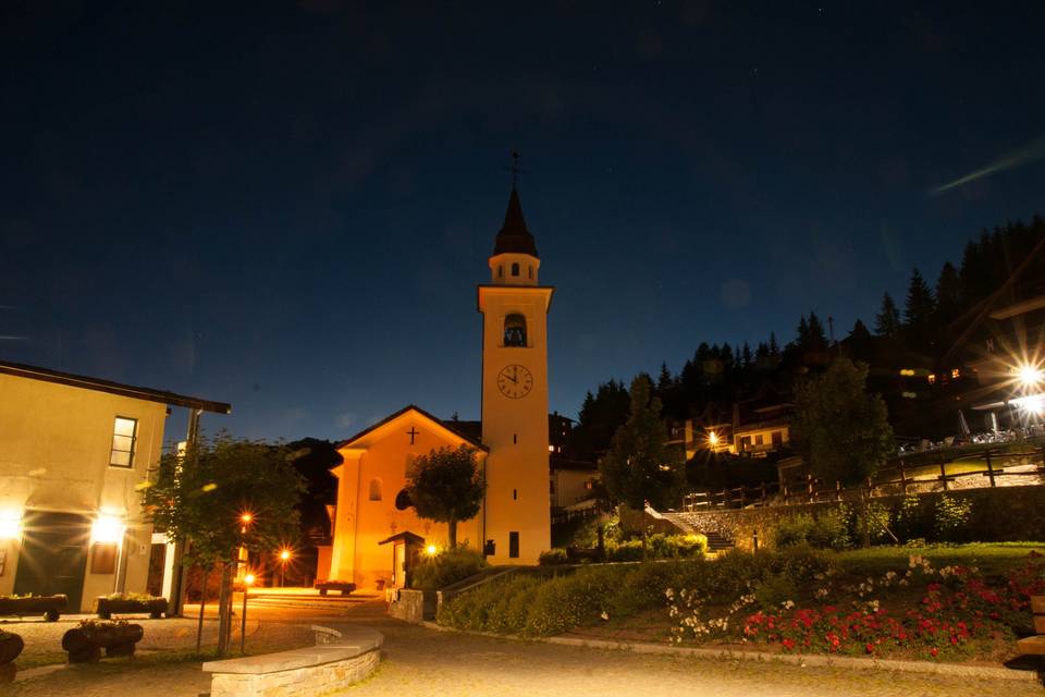 Chamois in notturna