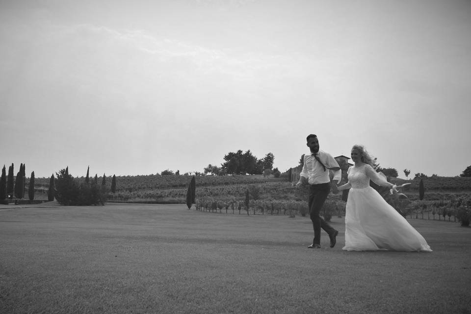 Tra i vigneti